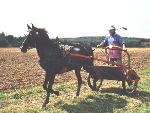 Deutscher Meister 2001: Oskar Piritz mit Ghalia