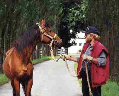 Ostenfelde 2.8.2000: Camerton, ein letzter Blick zurck.